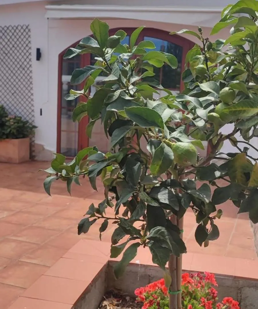 Detached Villa For 6 People In Lloret De Mar With Comunal Outdoor Swimming Pool Puigventos إسبانيا